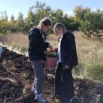 лес