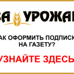 Подписка3