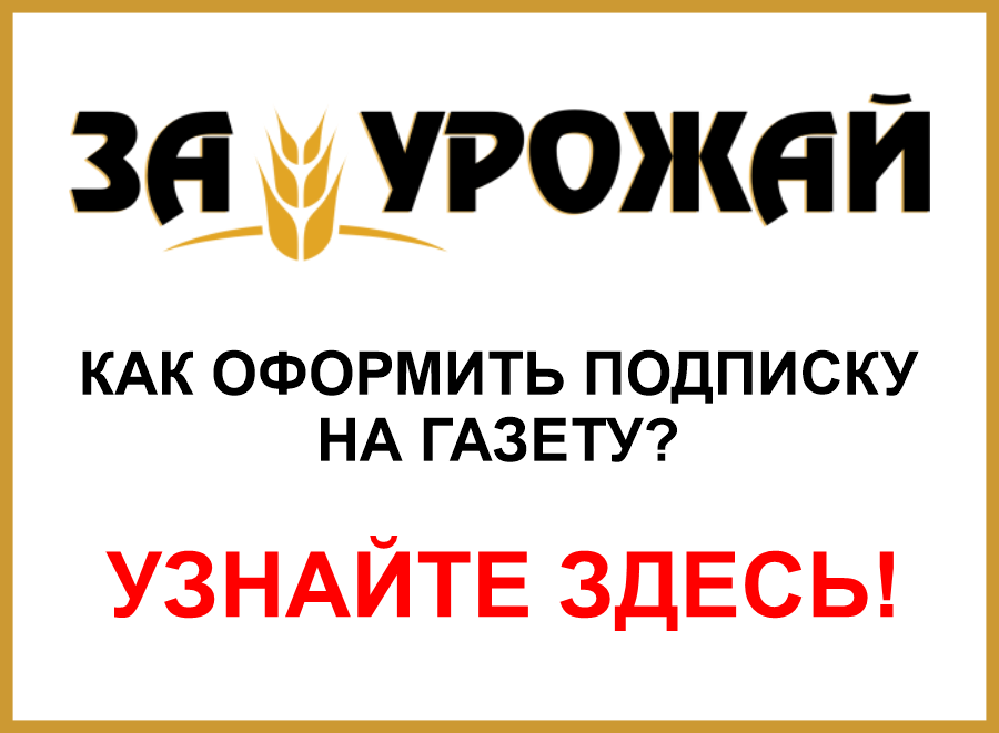 Подписка3