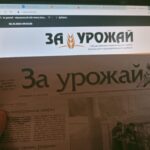 Нашсайт
