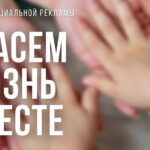 Жизнь