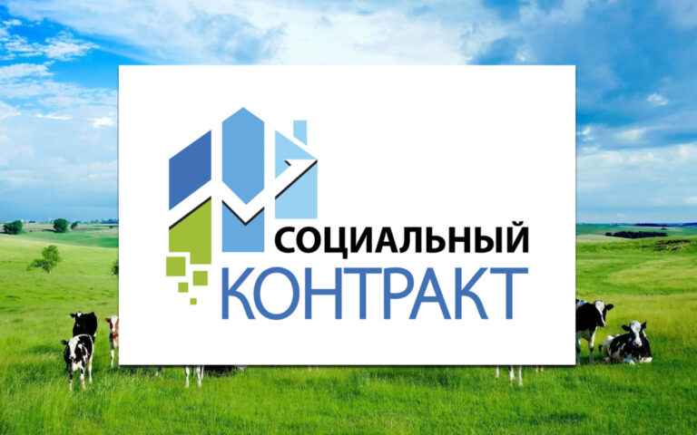 Соцконтракт