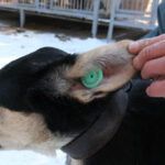 IMG-20250714-WA0019