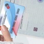 полис