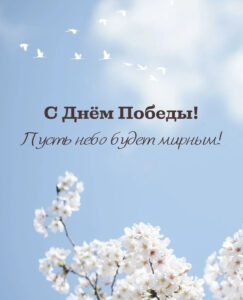соколоволес