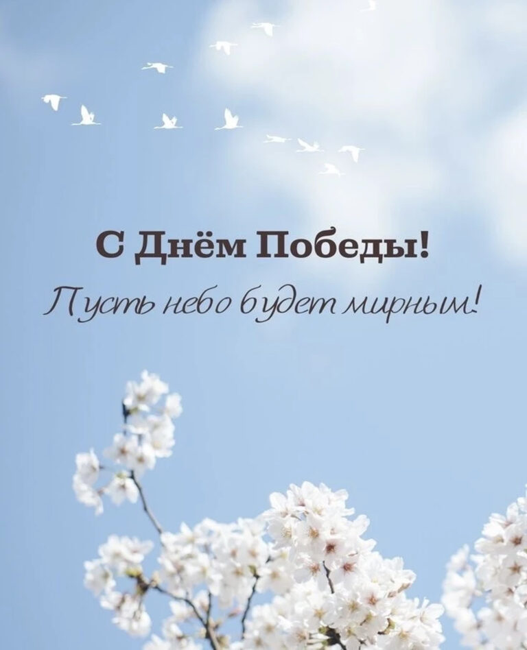 соколоволес