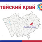 избирательная