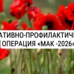 Мак - 2026